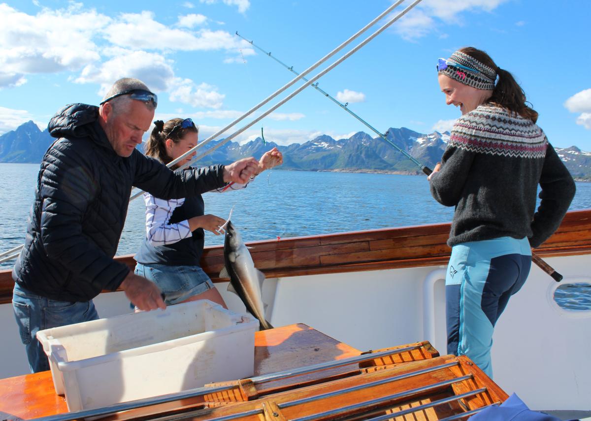 Fishing Trip from Svolvaer with World Sea Explorers
