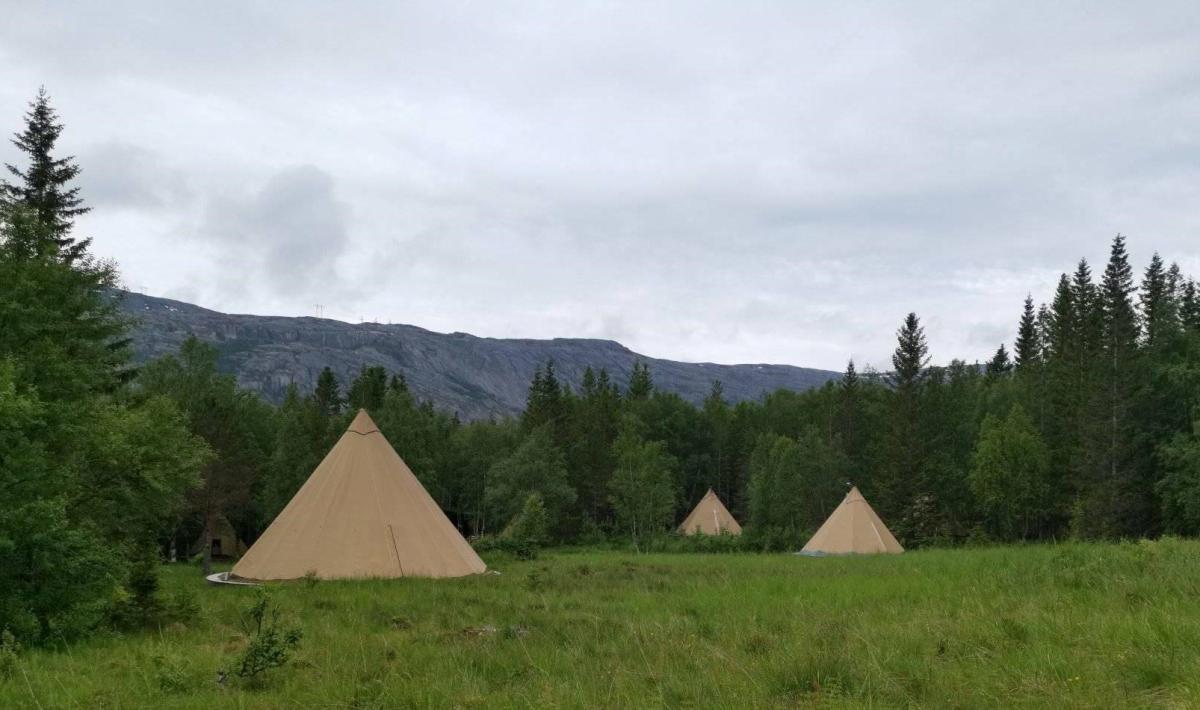3 days - Sámi healing retreat