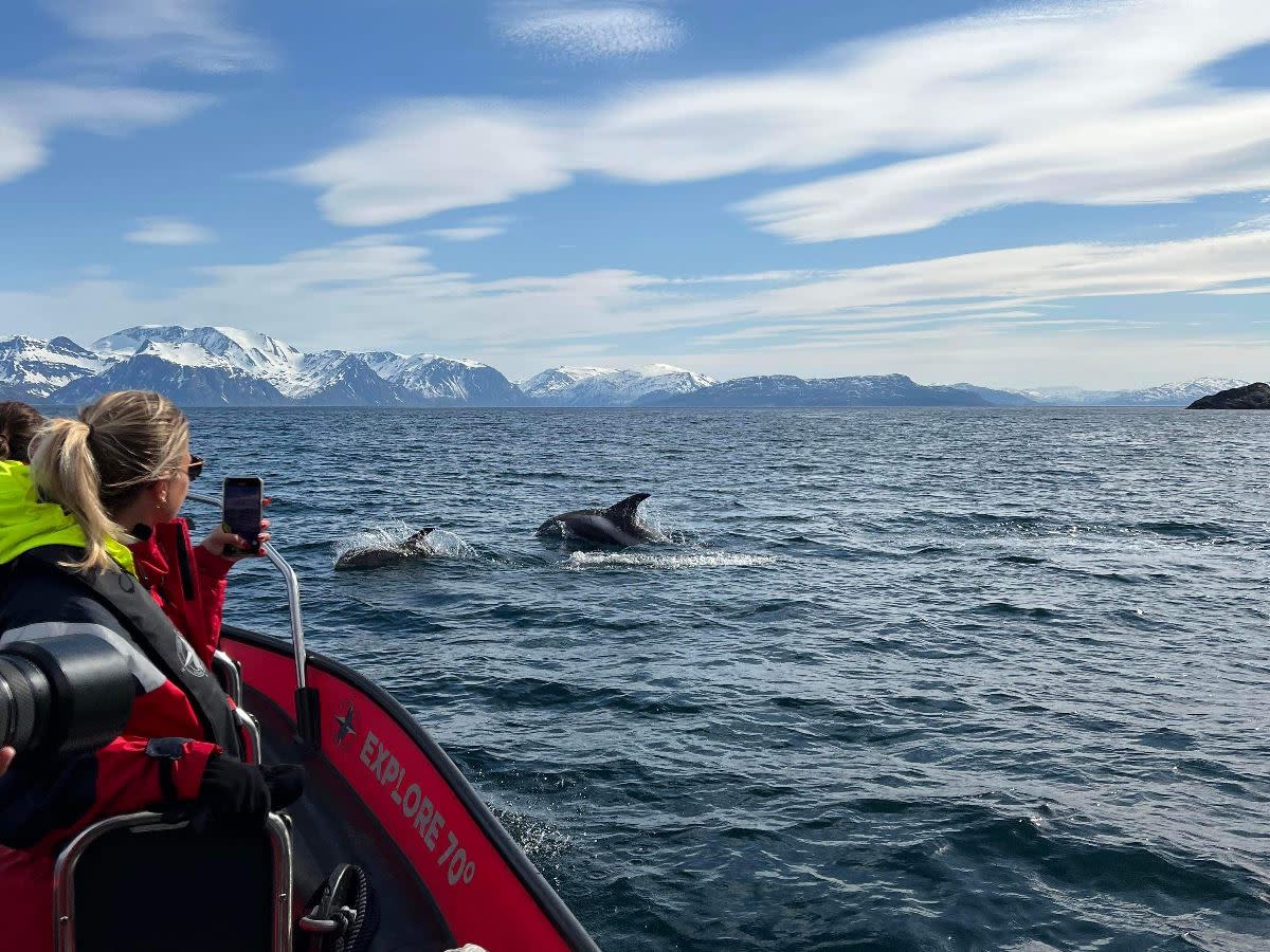 birds-and-wildlife-tour-explore-70-degrees-fjord-coastal-cruise