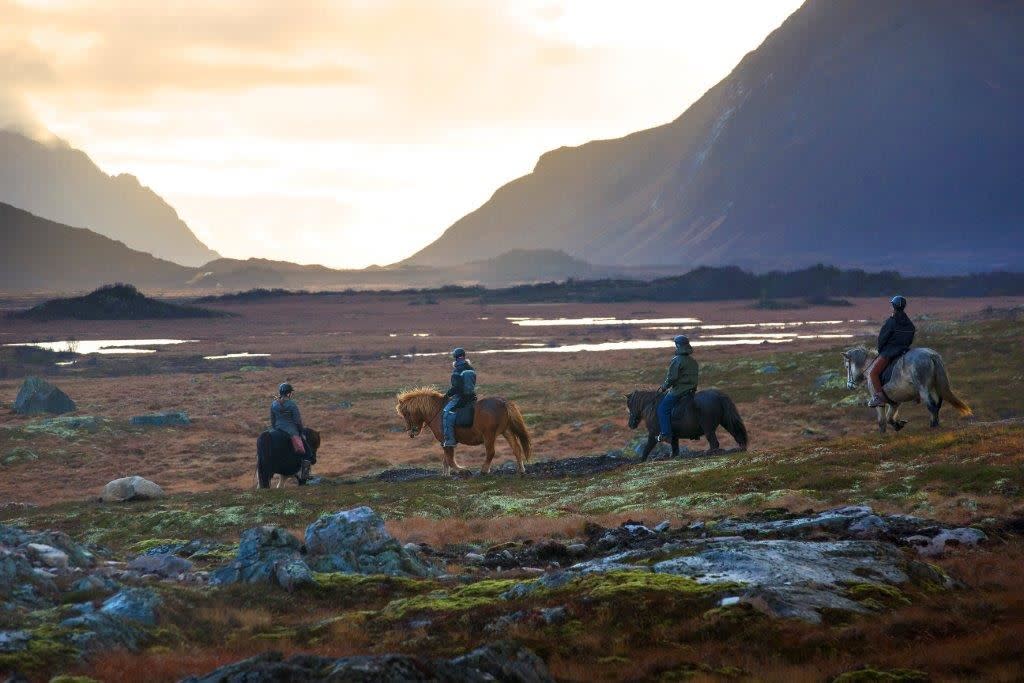 Viking Tour Horseback riding on Icelandic Horses in Lofoten Riding