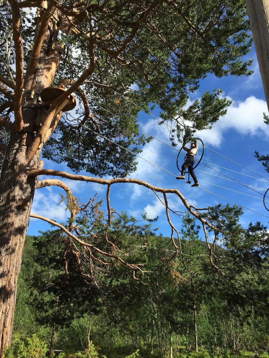 Tree top adventure park