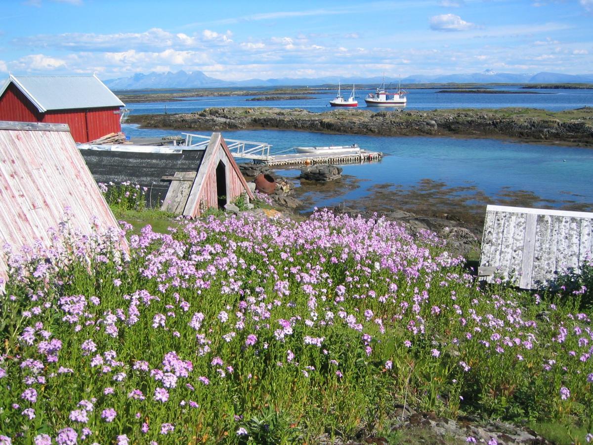 Islas Vega |  Atractivos naturales |  Vega |  Noruega