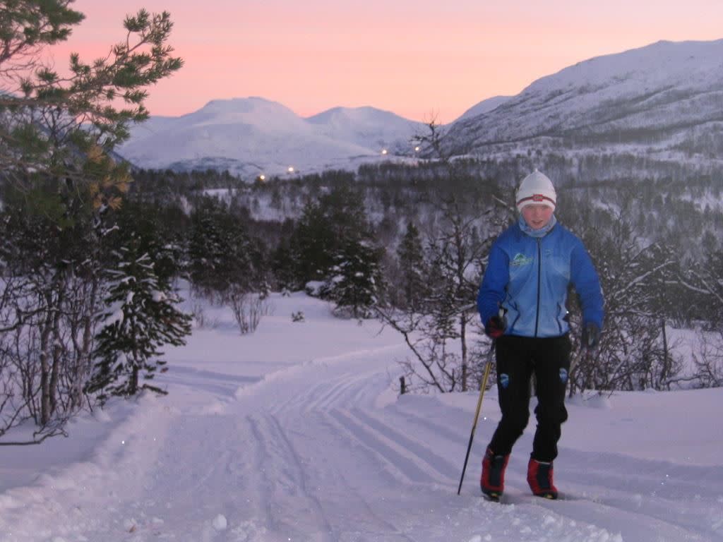 Ankenesfjellet crosscountry ski trail