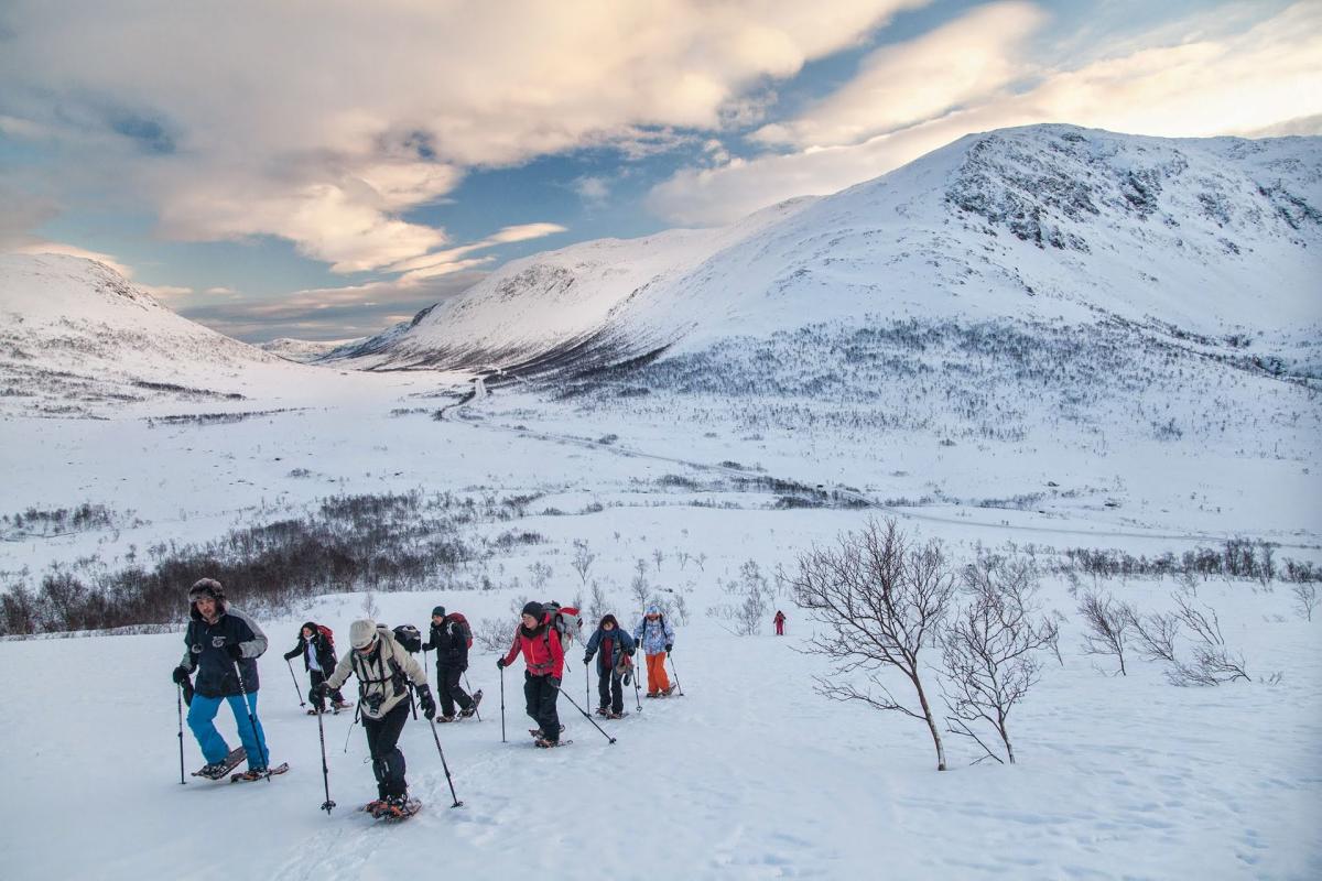 Guided snowshoe hill hike on Kvaløya Skiing Norway