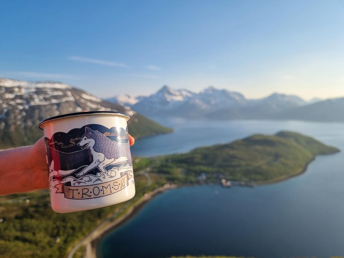 Enamel cup with husky and Northern Lights design | Gifts & Souvenirs
