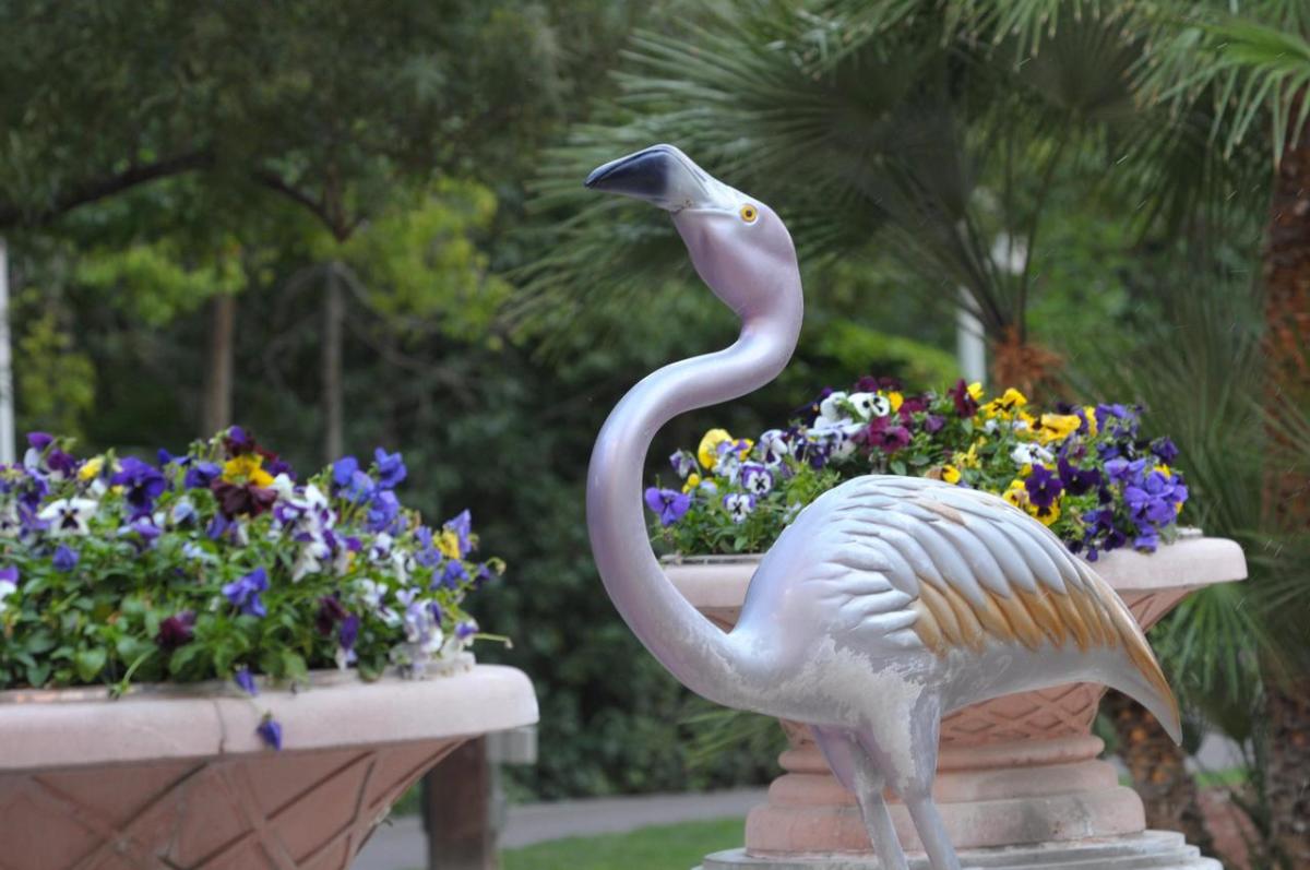 The Wildlife Habitat at Flamingo Las Vegas Is Still the Strip’s Best Free Escape