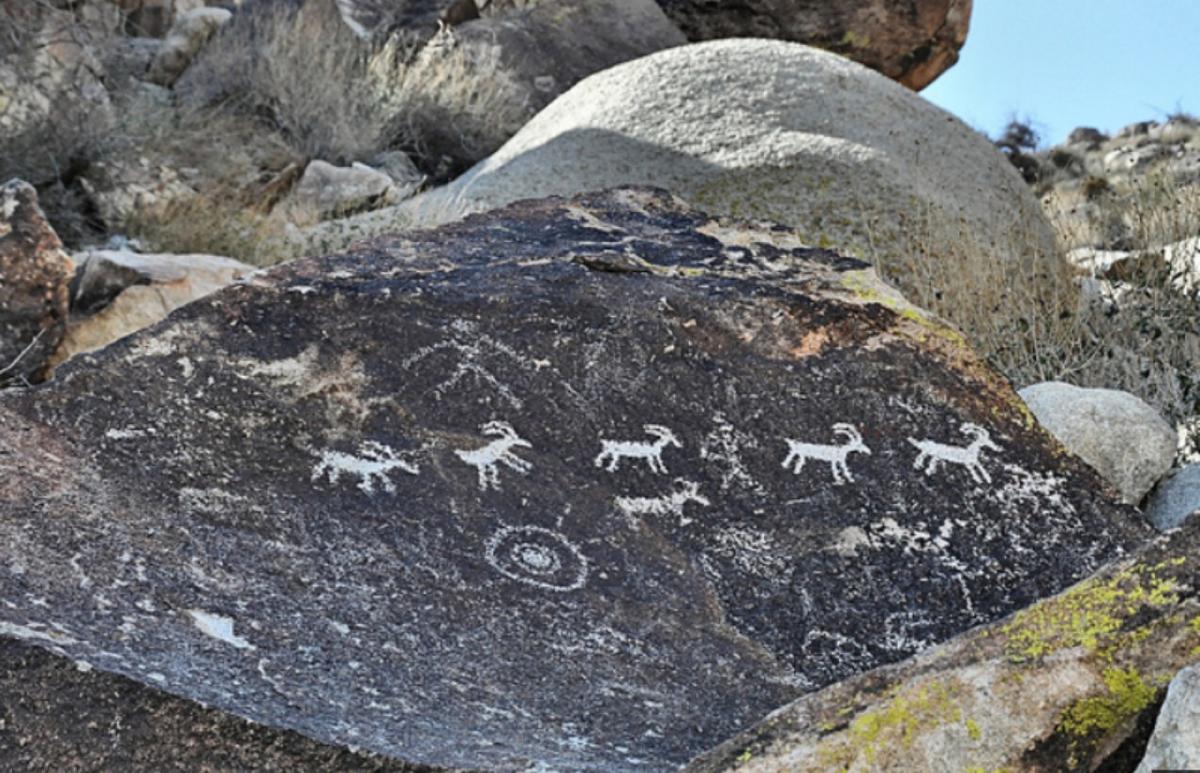 Christmas Tree Pass, Grapevine Canyon and Spirit Mountain Laughlin