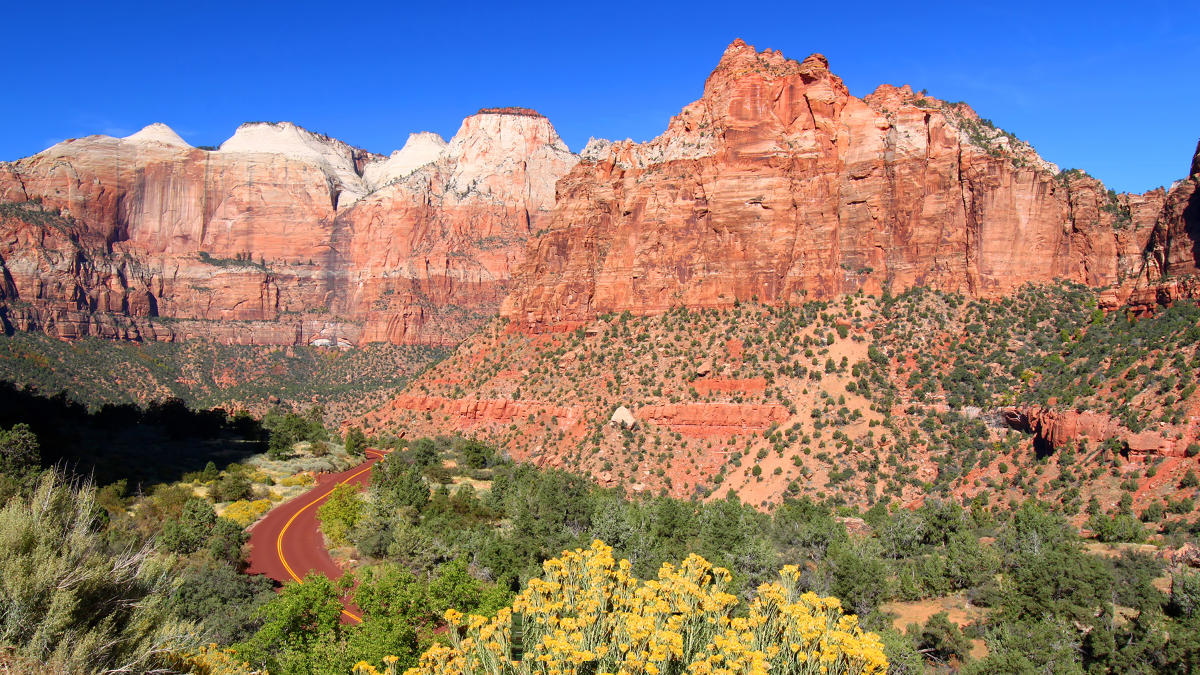Zion National Park Springdale, UT