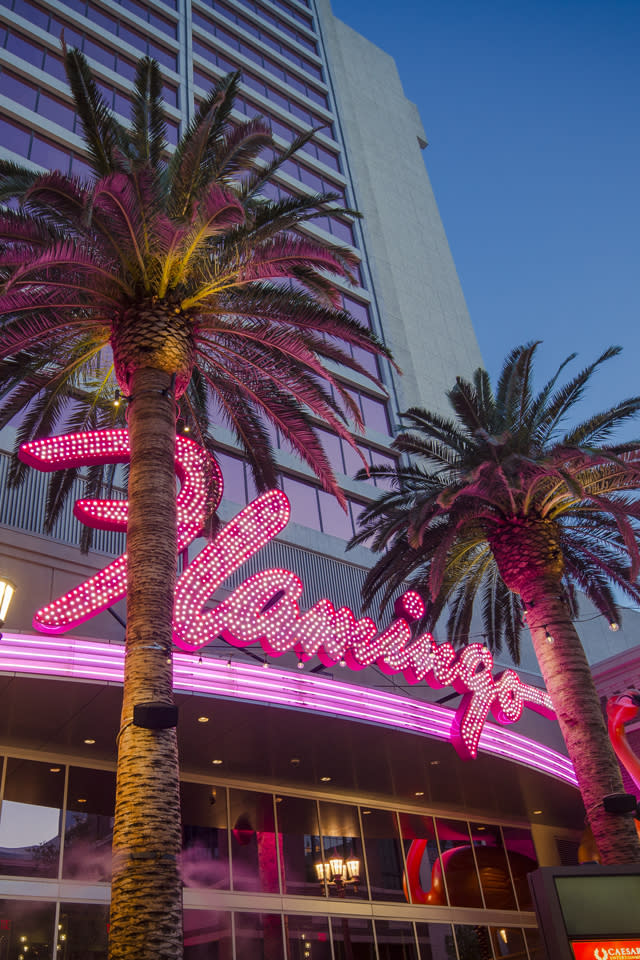 flamingo las vegas hotel casino wildlif