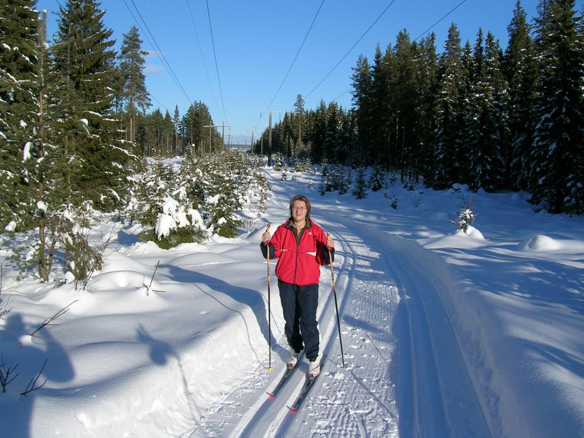 Cross-country skiing in Elverum