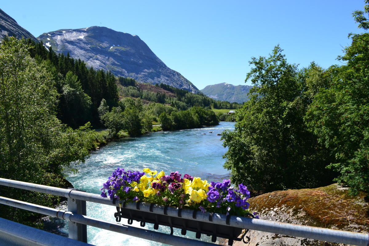 Bicycle Route - Klakegg - Stardalen - Klakegg | Biking | Skei I Jølster | Norway