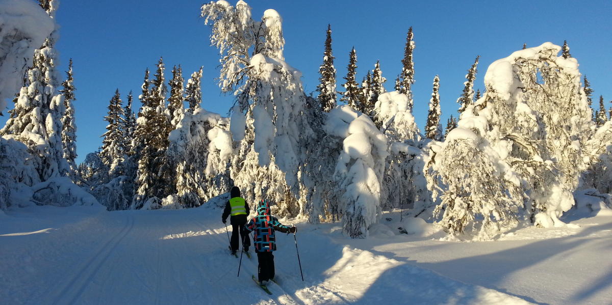 Skiloipen Vest  sen   l Hallingdal Skiing   l Norway