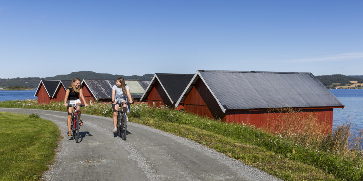 Around the Borgenfjord by bike