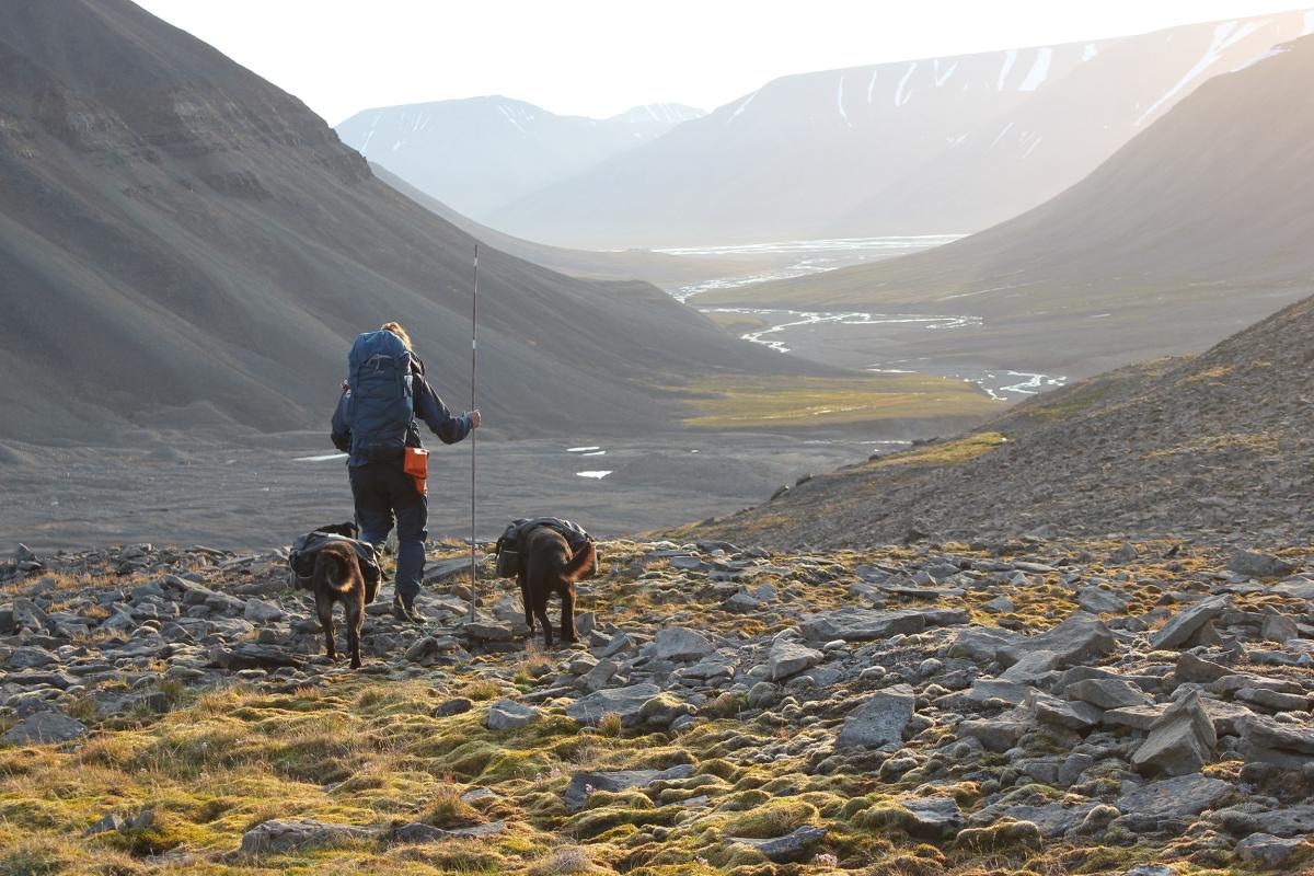 The lodge among glaciers: 3-day hiking adventure with dogs