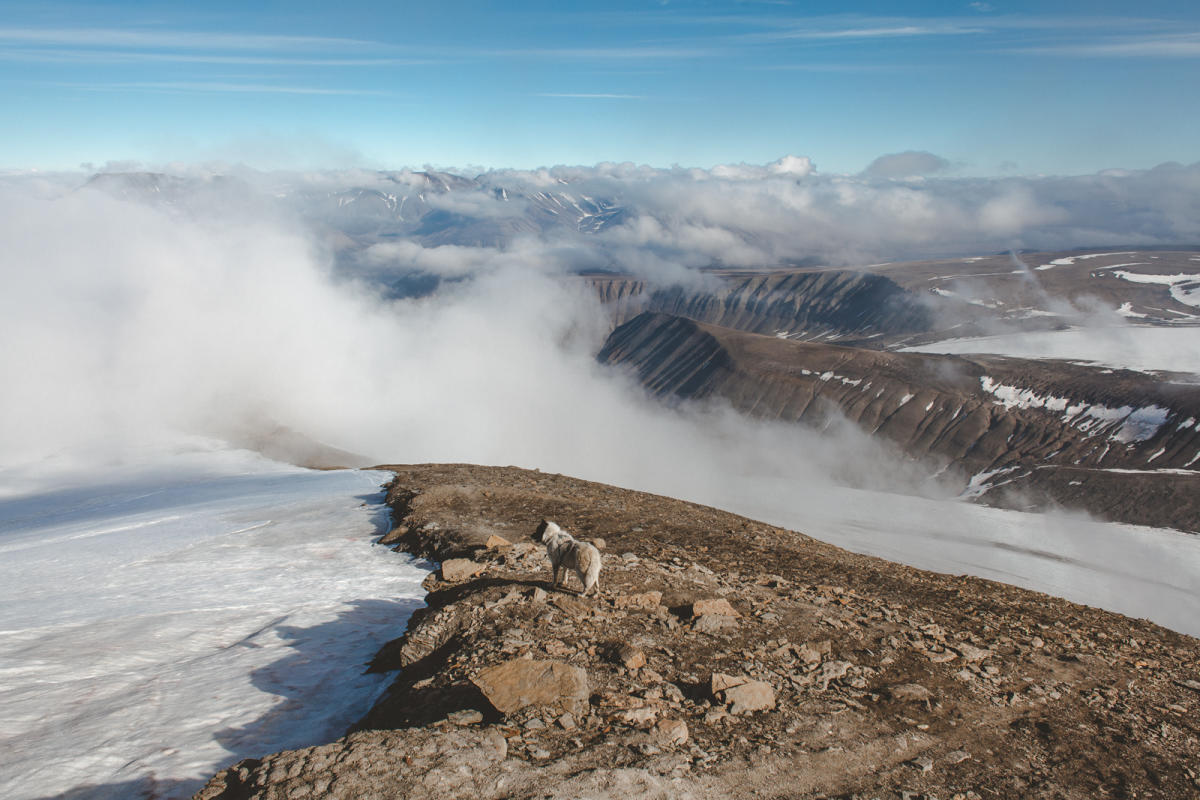 Nordenskiöldtoppen Trekking - Poli Arctici