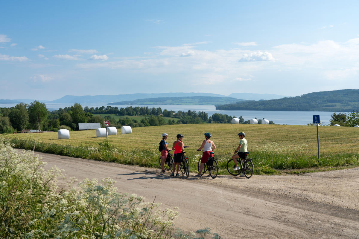 Mjøsa package tour (4d) - Start in Gjøvik | Tour Operators | Gjøvik ...
