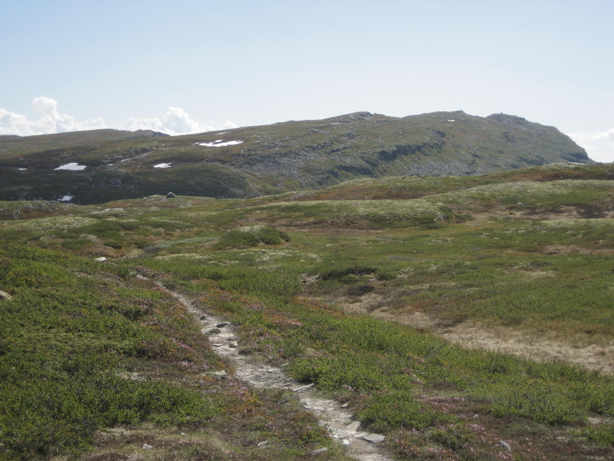 Kvitfjell - Storfjellet (38, 6 km)