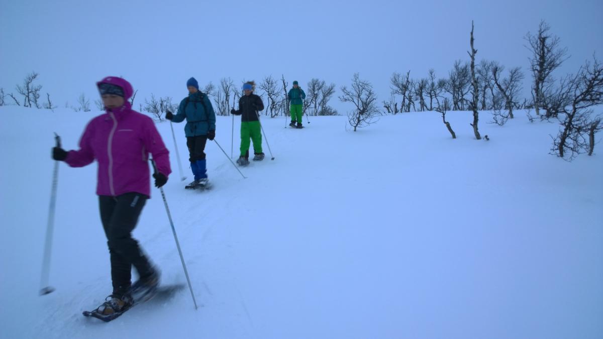 Snowshoeing trip with guide - Geilo Aktiv