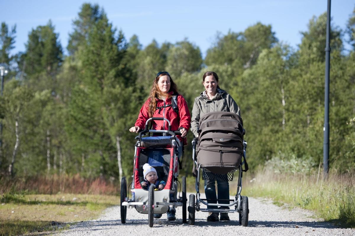 Otrosåsen - round trip 5 km - Summit trip with pram