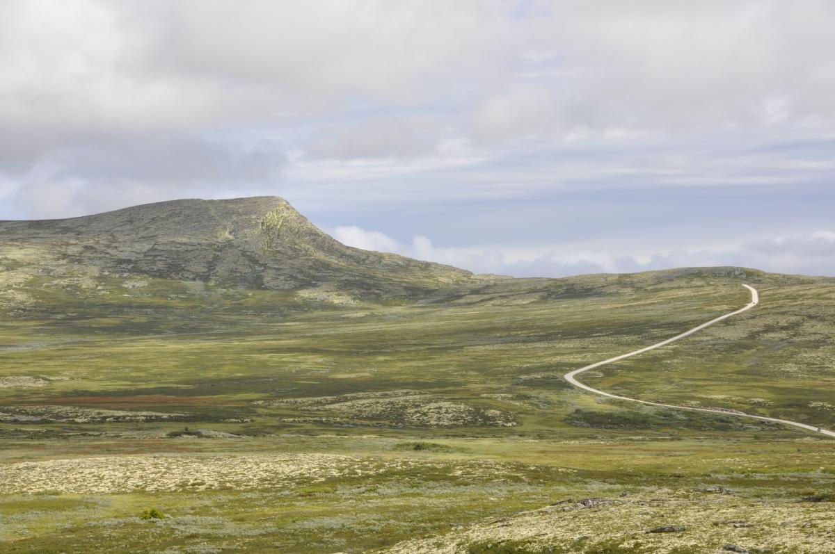 vinjevegen kart Friisvegen og Vinjevegen | Round Trips | Ringebu | Norway