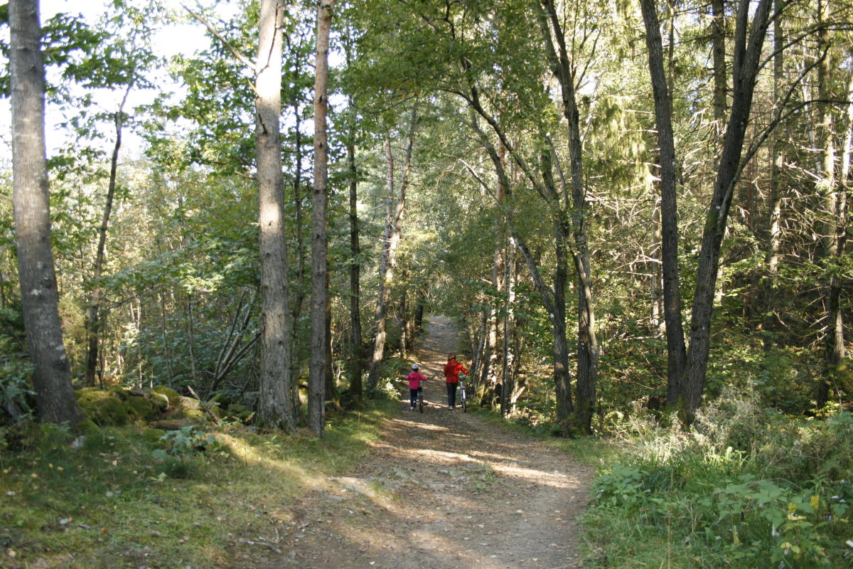 Well lit trail at Asdal Lunderød near Arendal