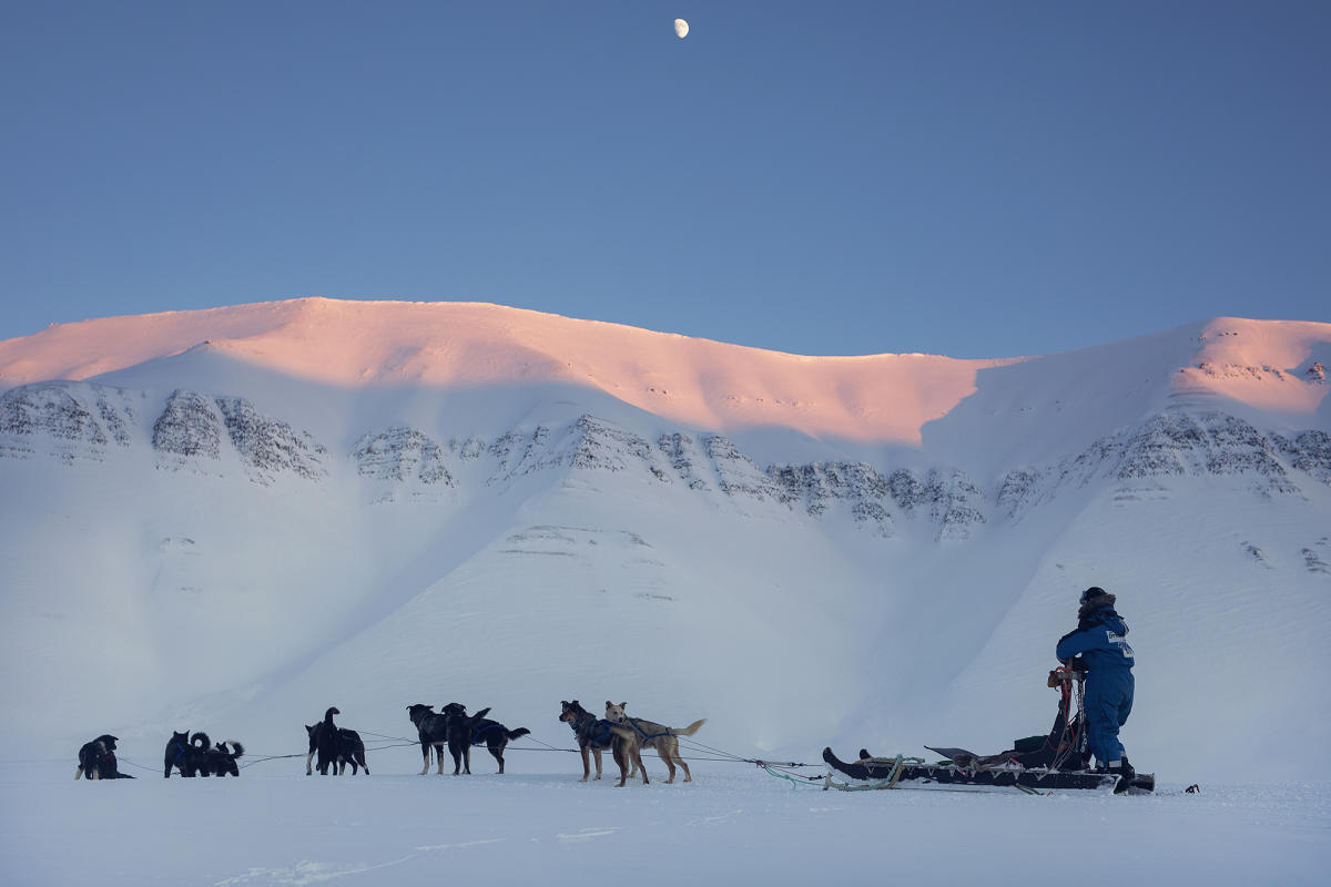 Three day expedition with dogsledge - Green Dog Svalbard