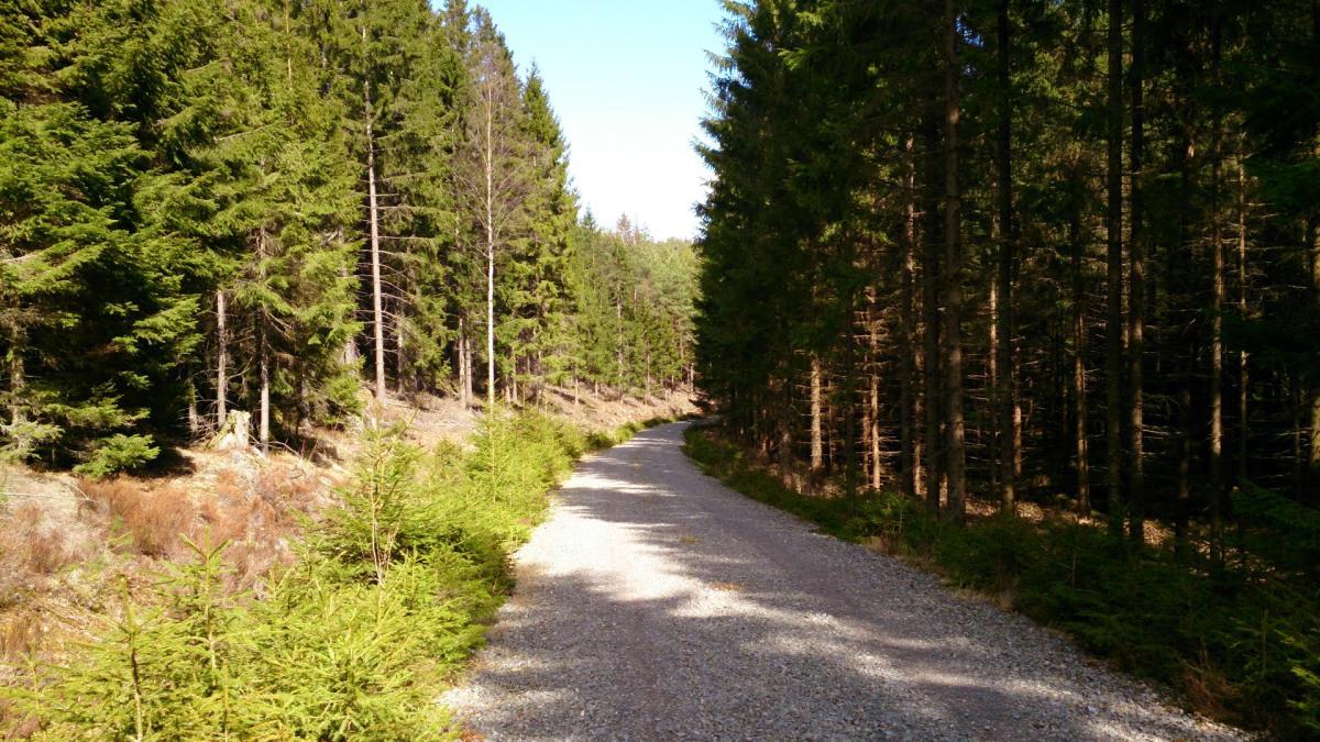 Cyclingroute - Siljedalen