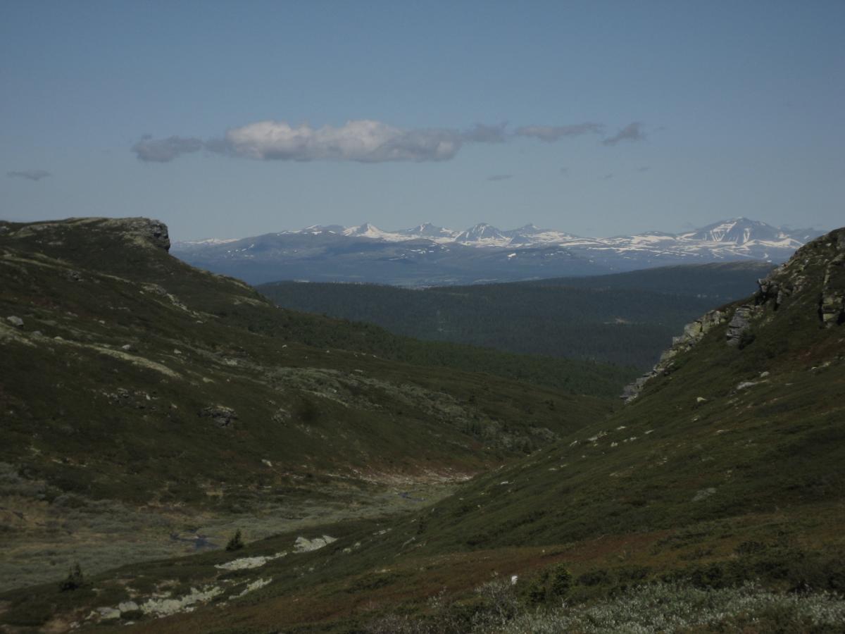 Kvitfjell-Skardbua-Fagerhøi (46, 7 km)