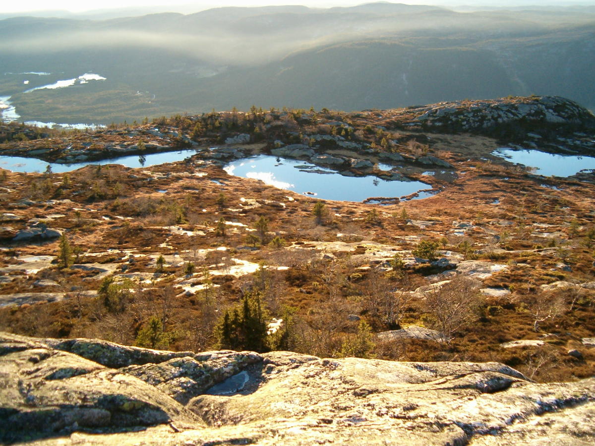 The Summit "Årdalsknapen" - return trip 8 km