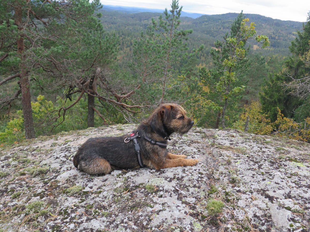 Slettåsheia hiking tour