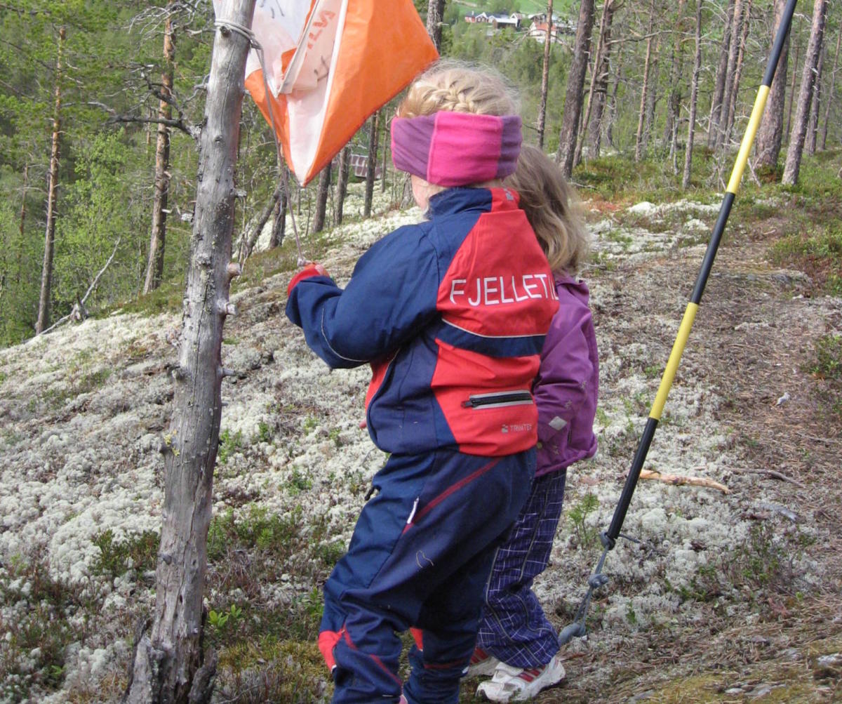 Orienteering