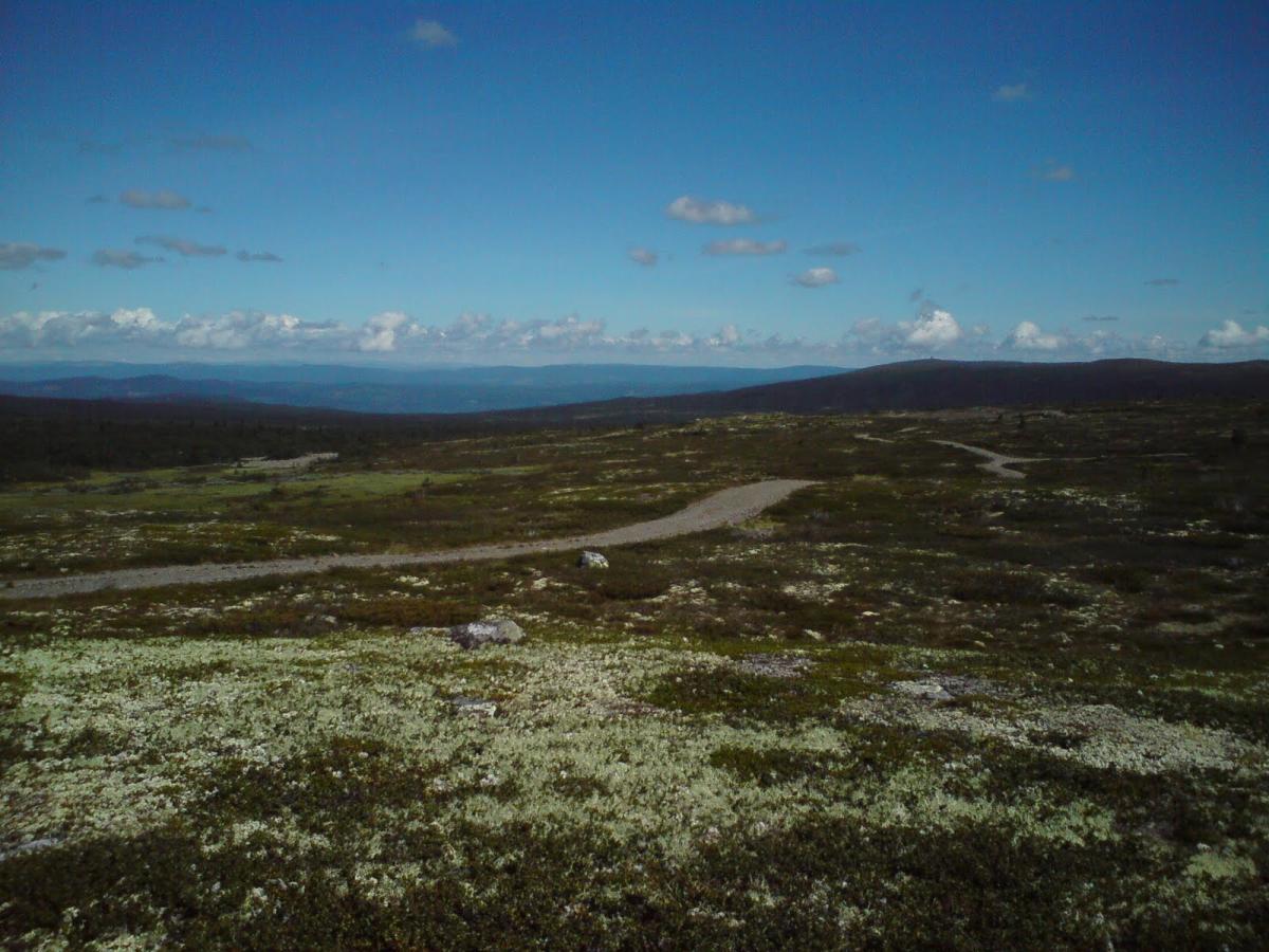 Places to stay: Sjusjøen
