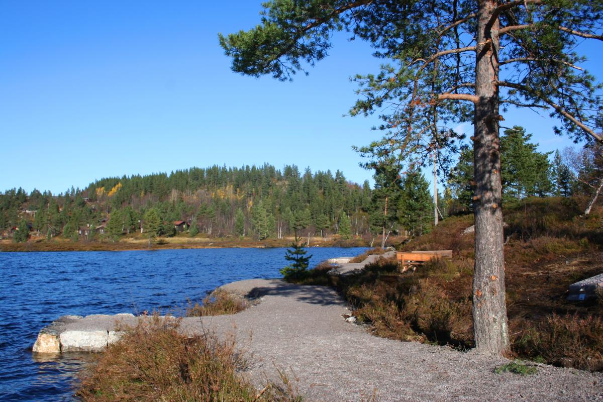 Fishing site Rundatjønn, Bortelid