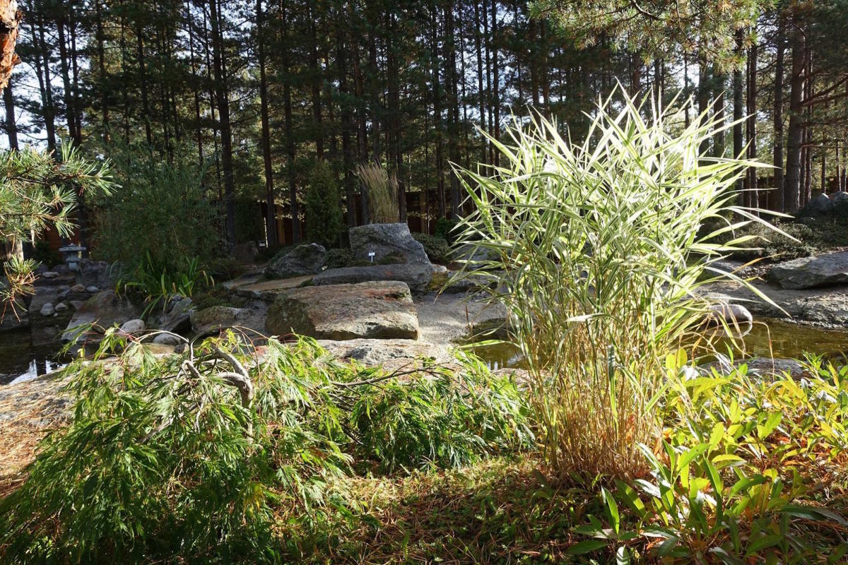 Gartenanlage «Odden Hage»