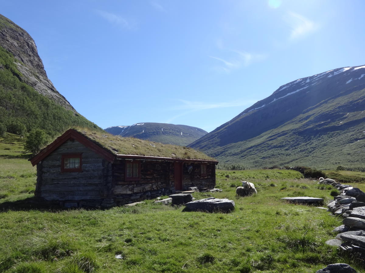 Dovrefjell-Sunndalsfjella National Park