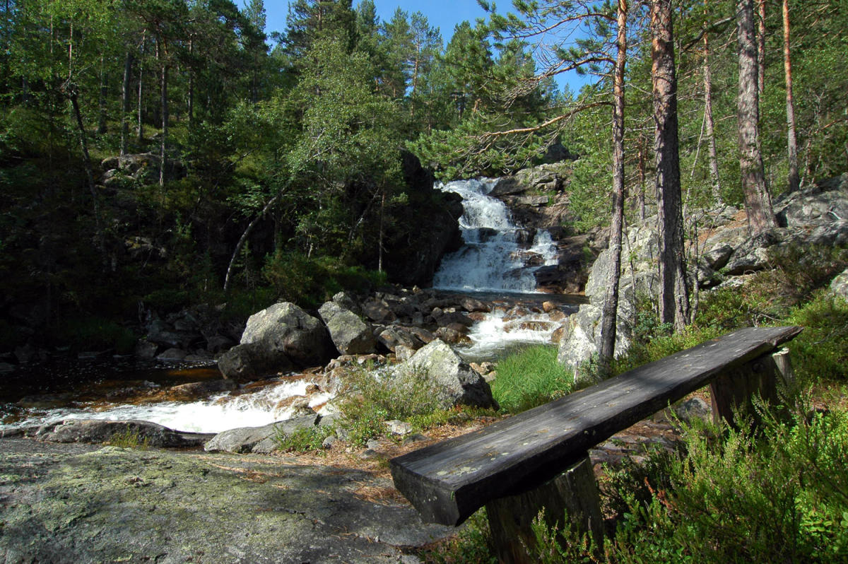 The Rysstad nature park - return trip 4 km
