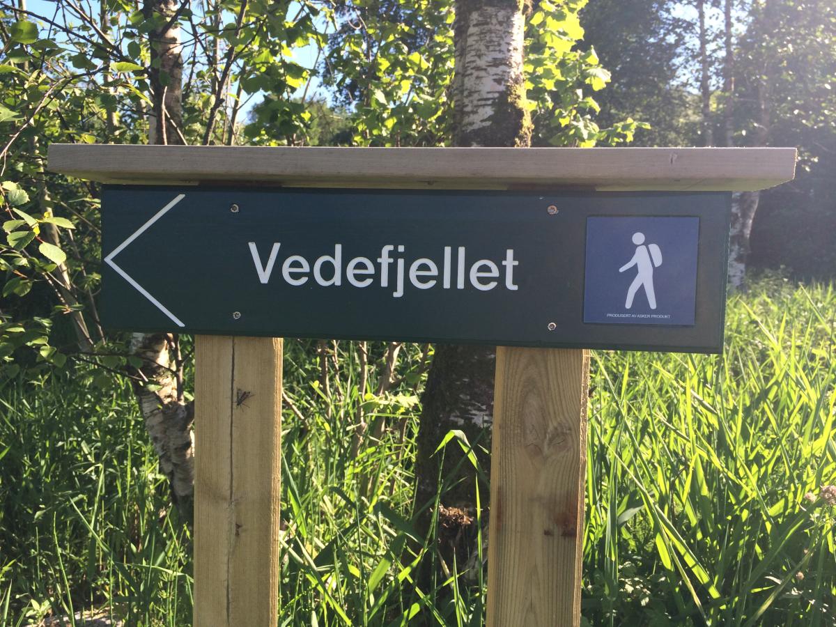 Hiking Vedefjell in Lyngdal