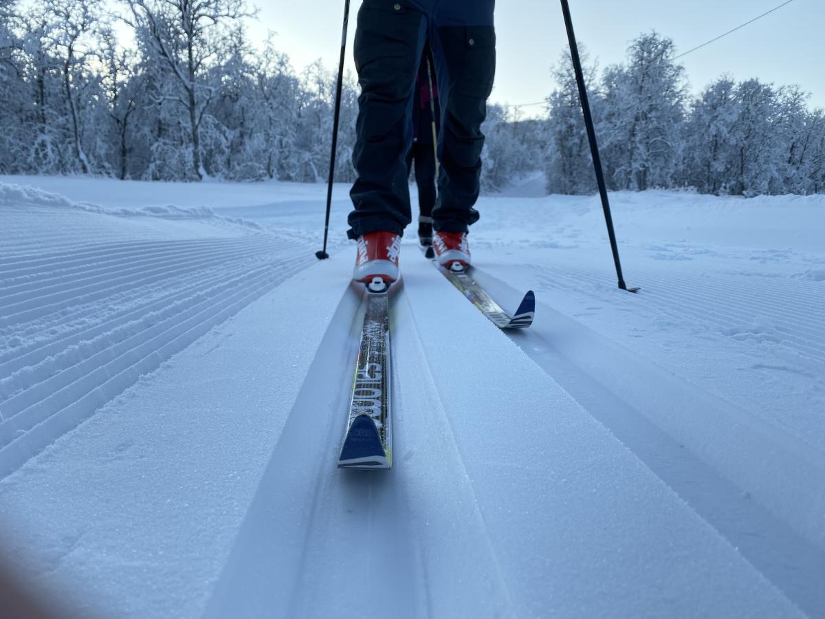 Introduction to cross-country skiing