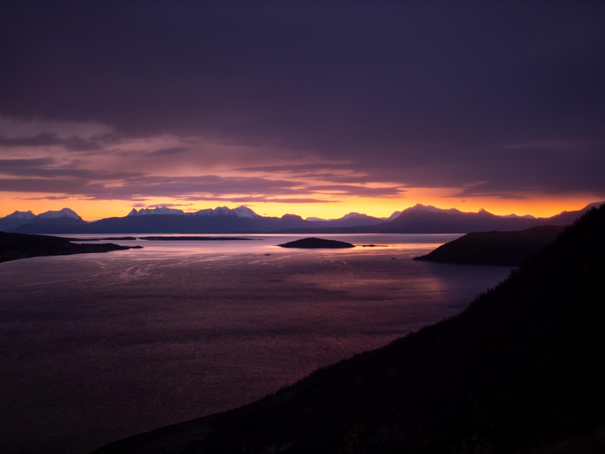 Hunting the Arctic Lights at Keipen Guided Tours Harstad Norway