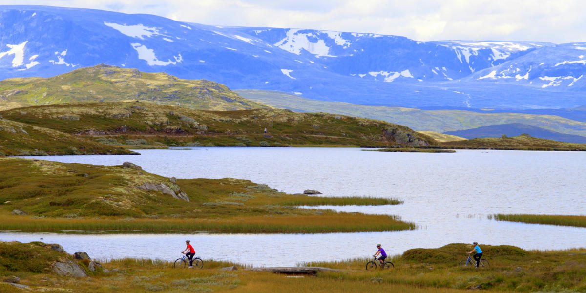 Tourvorschlag Fahrrad   l Hallingdal Biking   l Norway