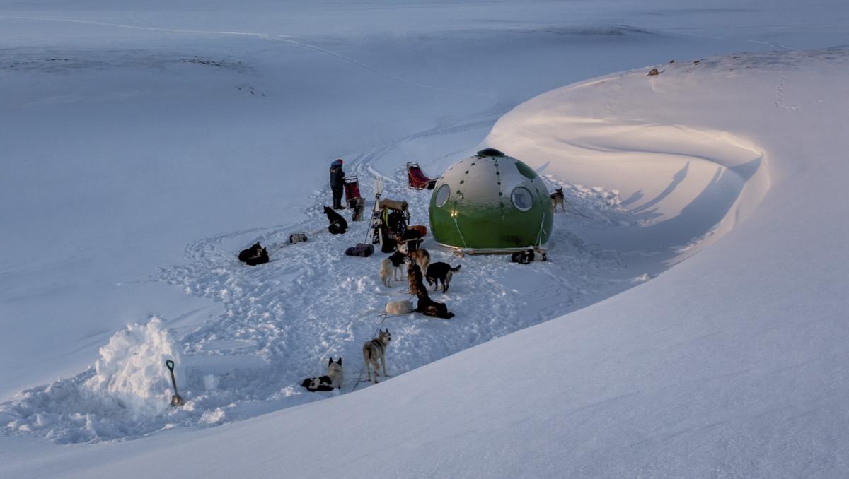 3 day dogsledding expedition with overnight in igloo