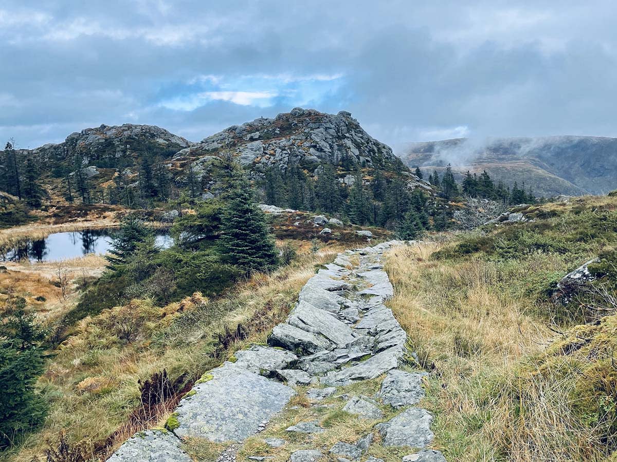 Heldags Fjelltur Til Bl manen Hiking Bergen Norway