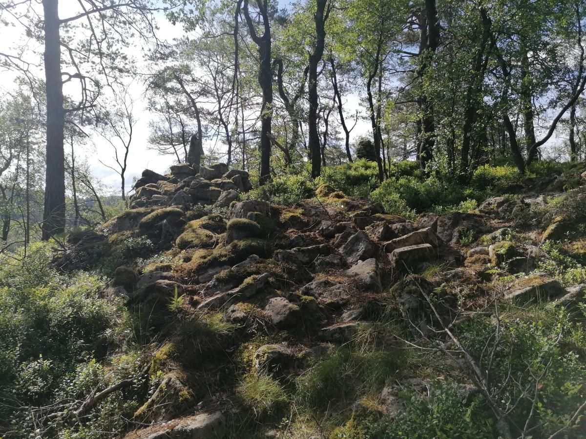 The hill fort at Åbestad