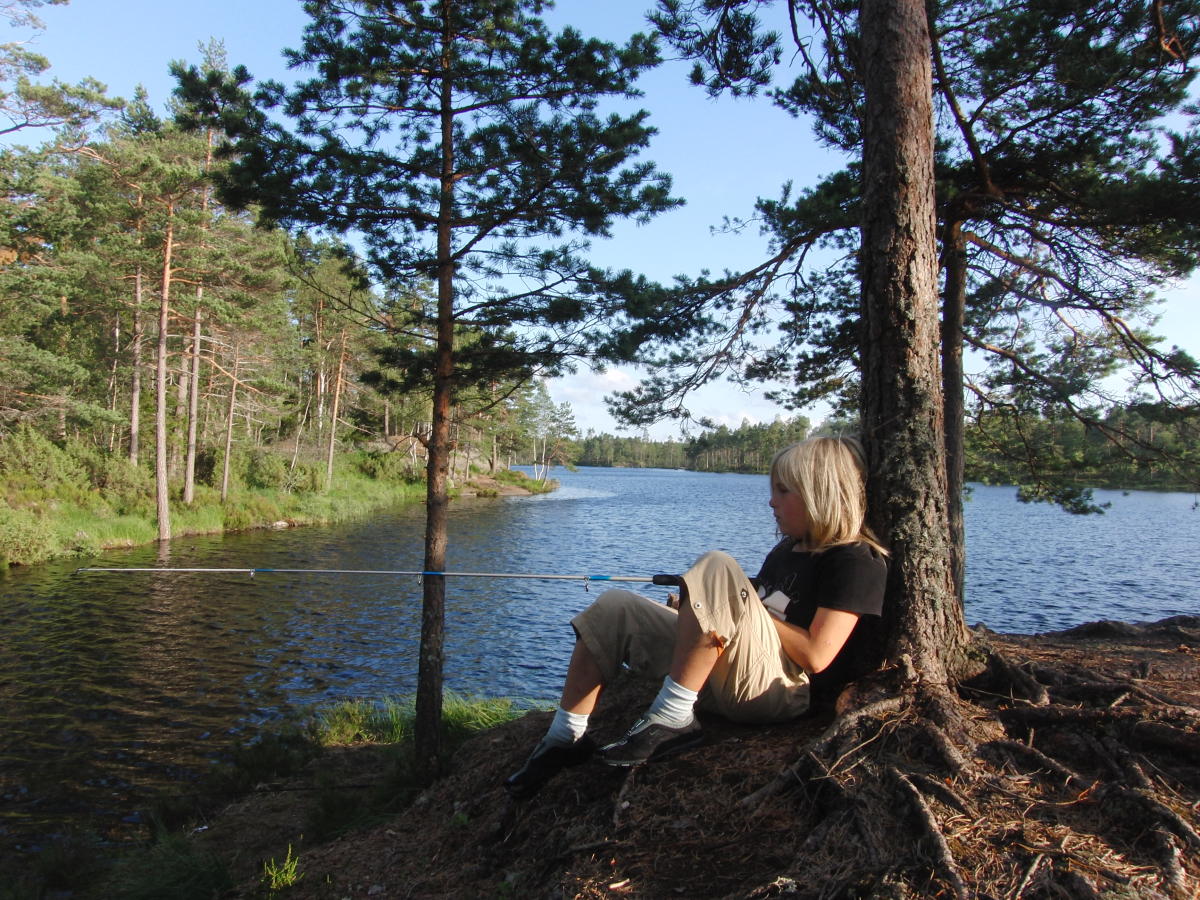 Fishing places in Fjella