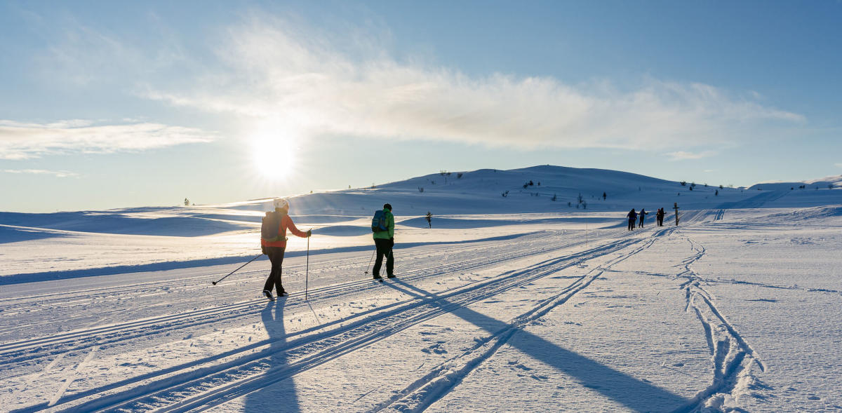 Learn to Cross Country Ski Holiday Venabu Fjellhotell Skiing