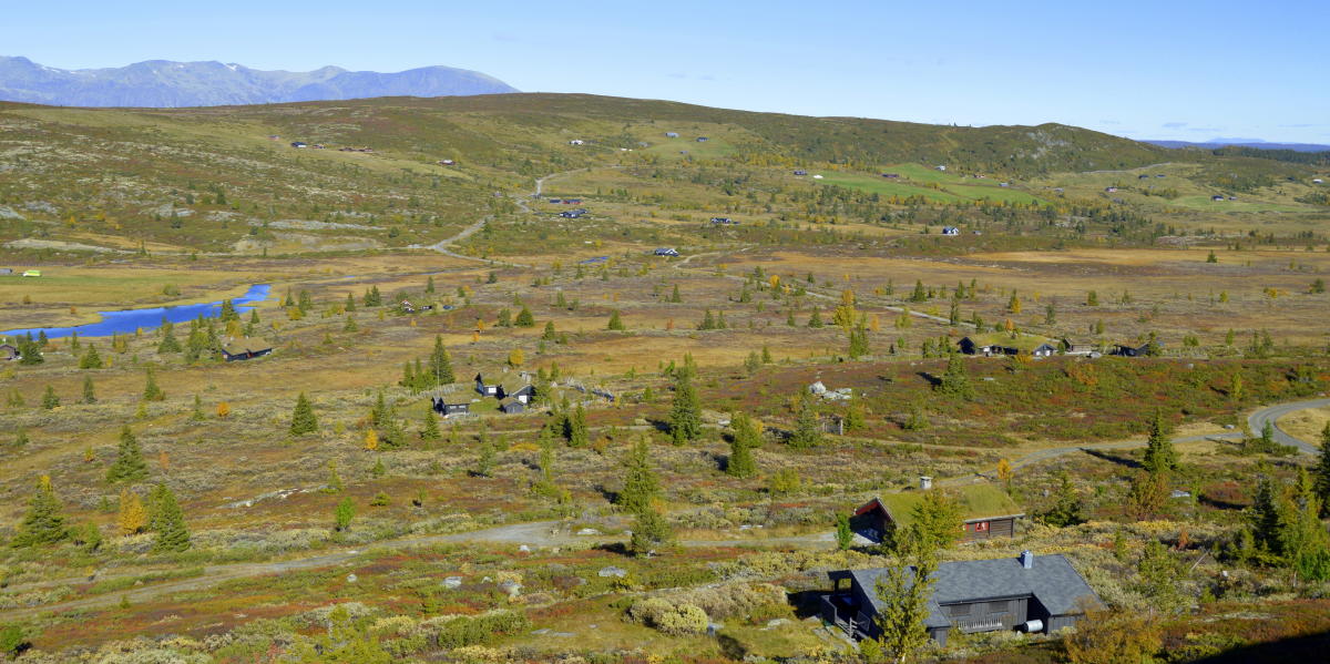 Hellingreset Ål in Hallingdal