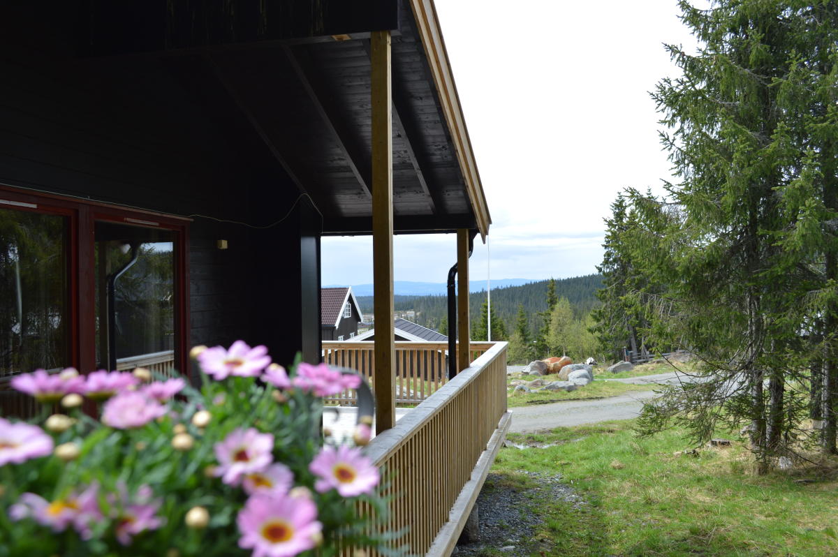 Nordseter Fjellpark, Cabin rental Apartments Lillehammer Norway