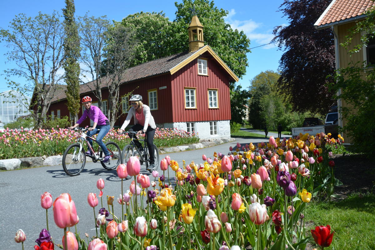 Experience RAET National Park in Grimstad on bike | Tour Suggestions