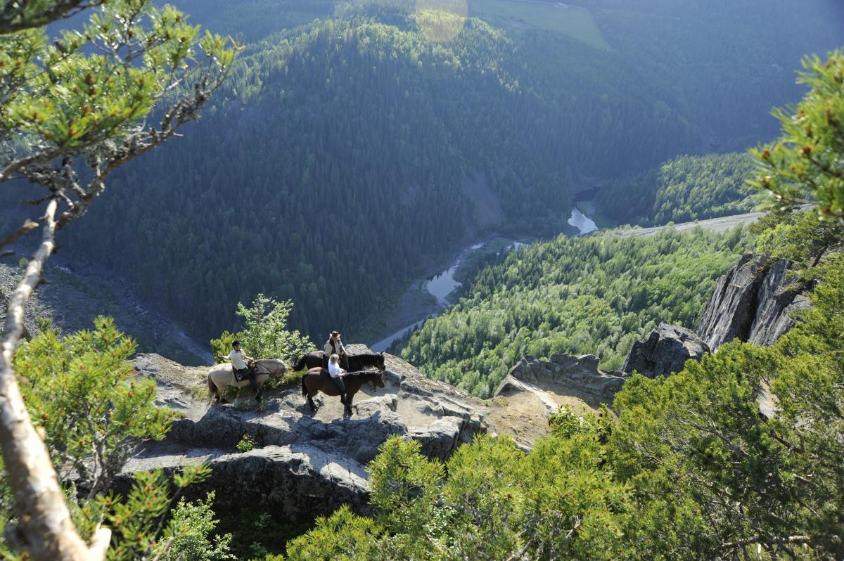 Ravens Gorge - Viewpoint and tourist attraction