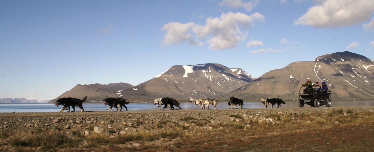 Family sightseeing by dog wagon - Svalbard Husky